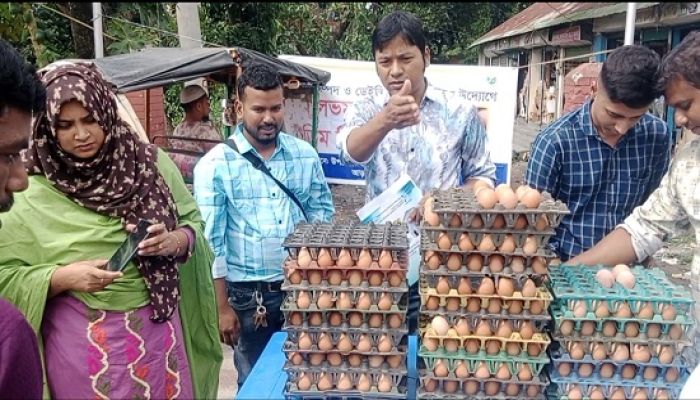 আড়াইহাজারে প্রাণিসম্পদ অফিসের আয়োজনে সুলভ মূল্যে ডিম বিক্রি শুরু